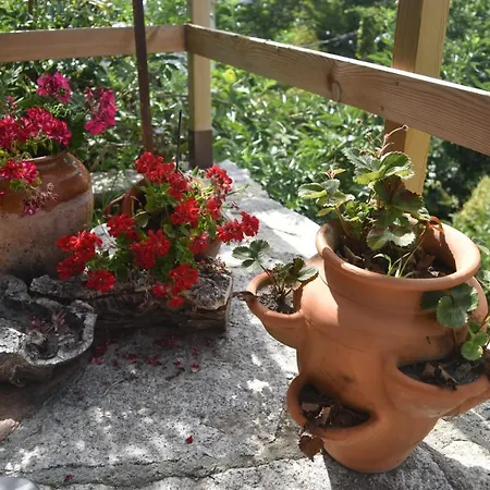 Horská chata Casinha Estrela Da Encosta - Geres