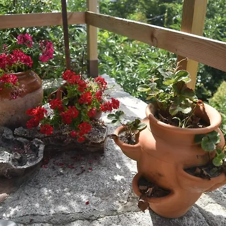 Horská chata Casinha Estrela Da Encosta - Geres