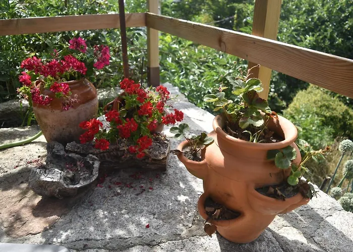 木屋 Casinha Estrela Da Encosta - Geres