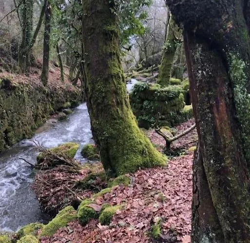 Casinha Estrela Da Encosta - Geres *