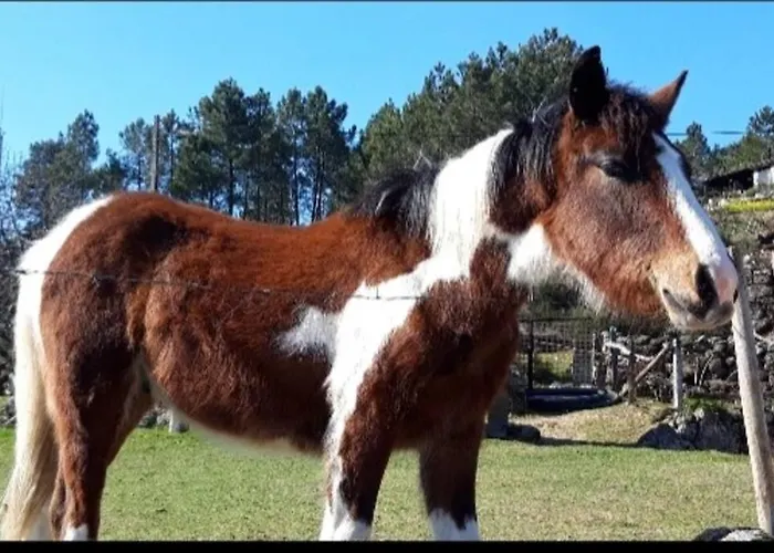 샬레 Casinha Estrela Da Encosta - Geres