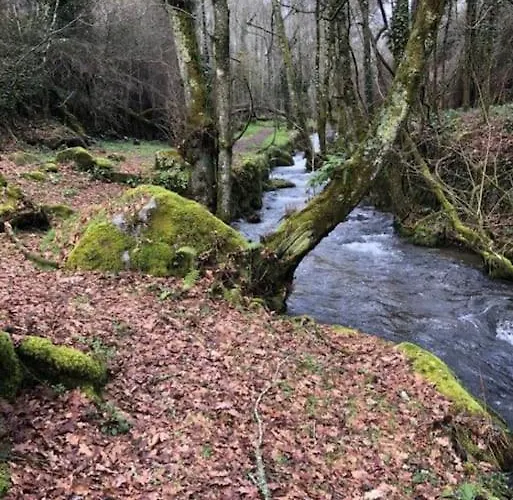 Domek alpejski Casinha Estrela Da Encosta - Geres Vieira do Minho